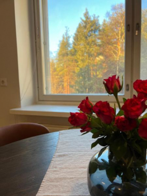 Premium Cityhome -Free Wifi & parking Rovaniemi